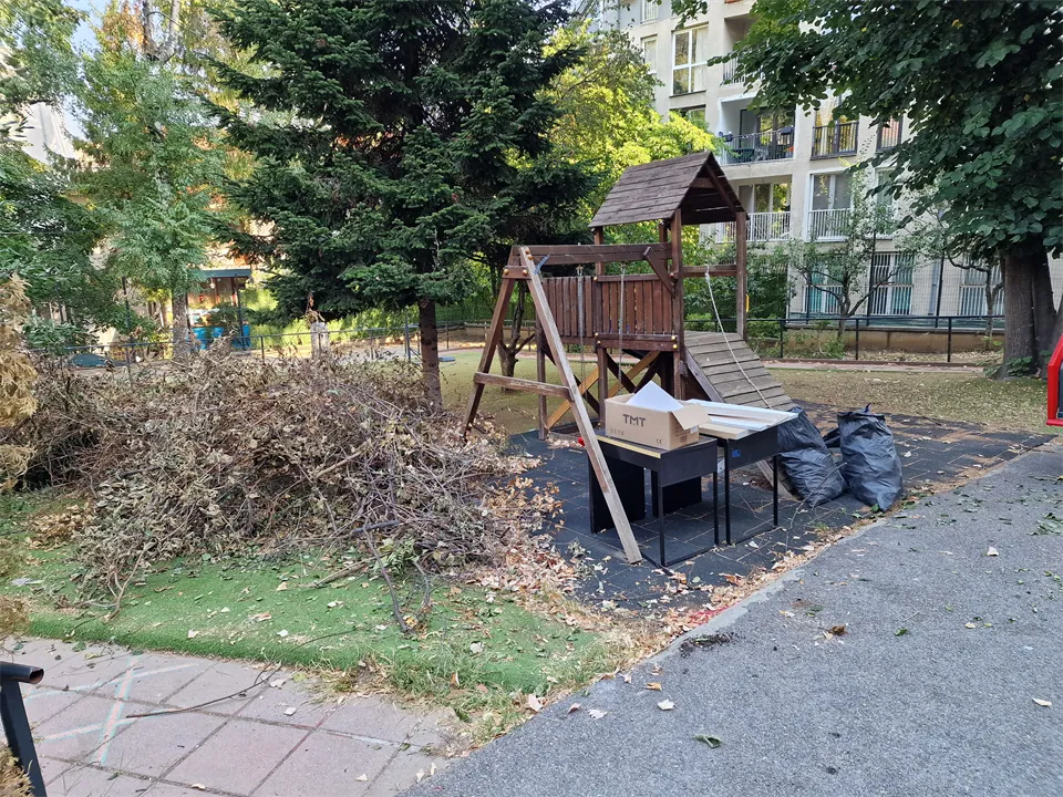 Купчина клони върху площадка на детска градина преди надробяване, ж.к. Лозенец, София