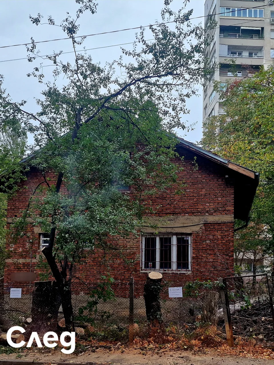 Освободена фасада след рязане на дървета, София
